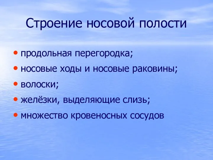 Строение носовой полости продольная перегородка; носовые ходы и носовые раковины; волоски;