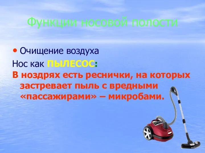 Функции носовой полости Очищение воздуха Нос как ПЫЛЕСОС: В ноздрях есть