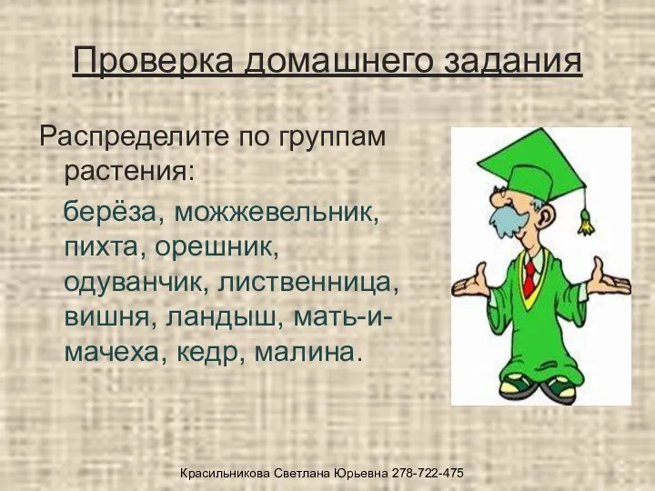 Проверка домашнего задания Распределите по группам растения: берёза, можжевельник, пихта, орешник,