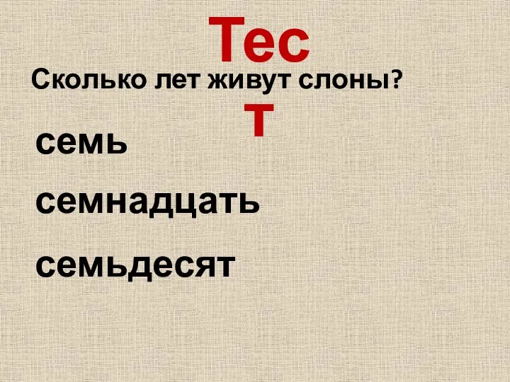 Тест Сколько лет живут слоны? семьдесят семнадцать семь