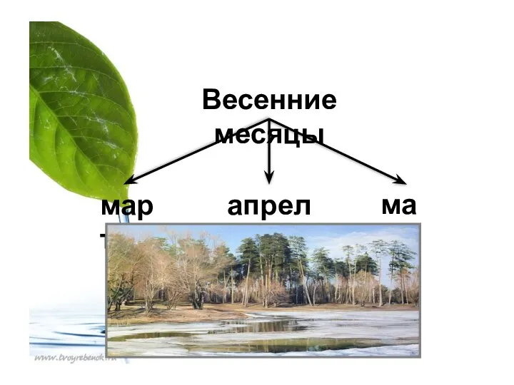 Весенние месяцы апрель март май