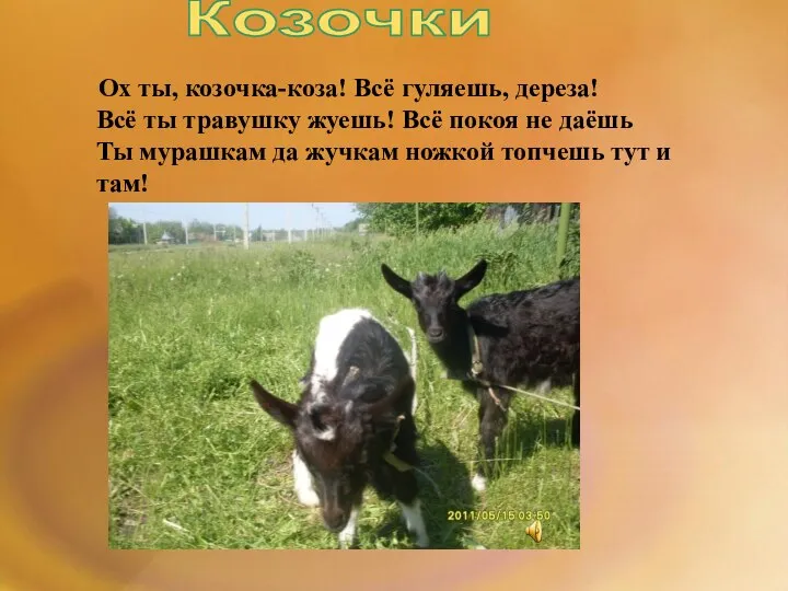 Ох ты, козочка-коза! Всё гуляешь, дереза! Всё ты травушку жуешь! Всё