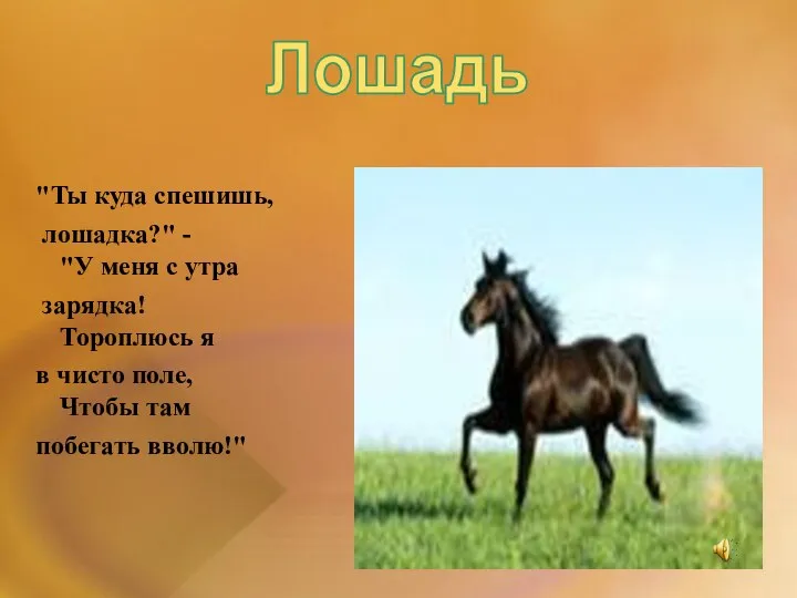 "Ты куда спешишь, лошадка?" - "У меня с утра зарядка! Тороплюсь