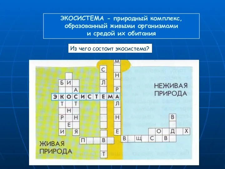 ЭКОСИСТЕМА - природный комплекс, образованный живыми организмами и средой их обитания Из чего состоит экосистема?