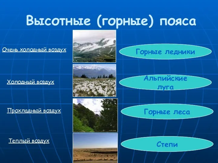 Высотные (горные) пояса Степи Горные леса Альпийские луга Горные ледники Очень