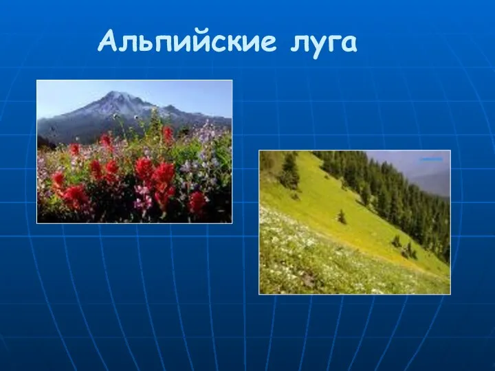 Альпийские луга