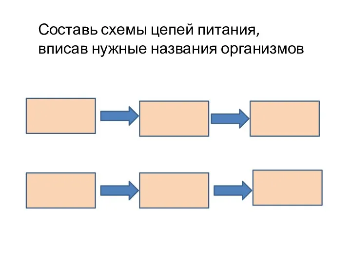 Составь схемы цепей питания, вписав нужные названия организмов