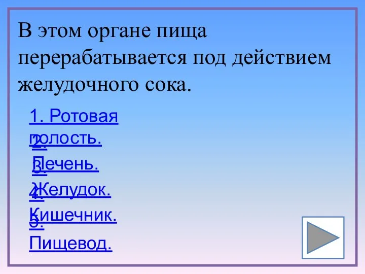 В этом органе пища перерабатывается под действием желудочного сока. 1. Ротовая