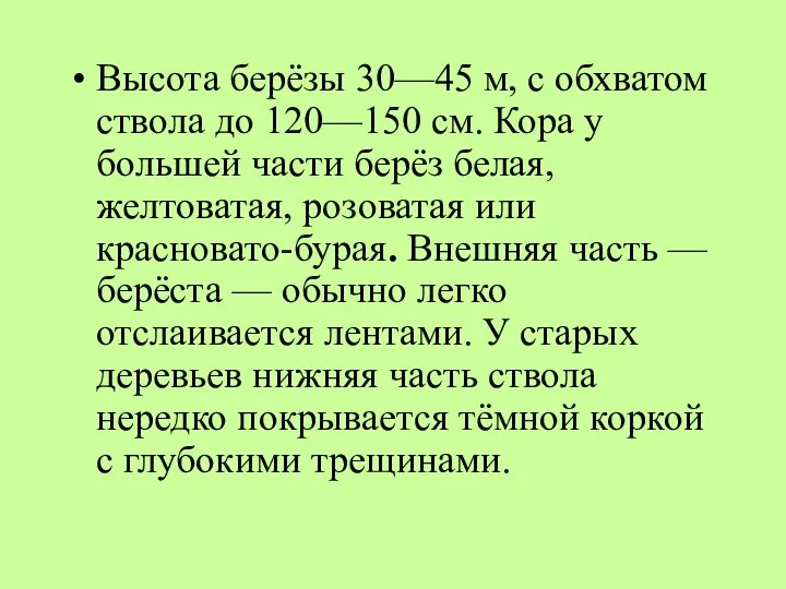 Высота берёзы 30—45 м, с обхватом ствола до 120—150 см. Кора