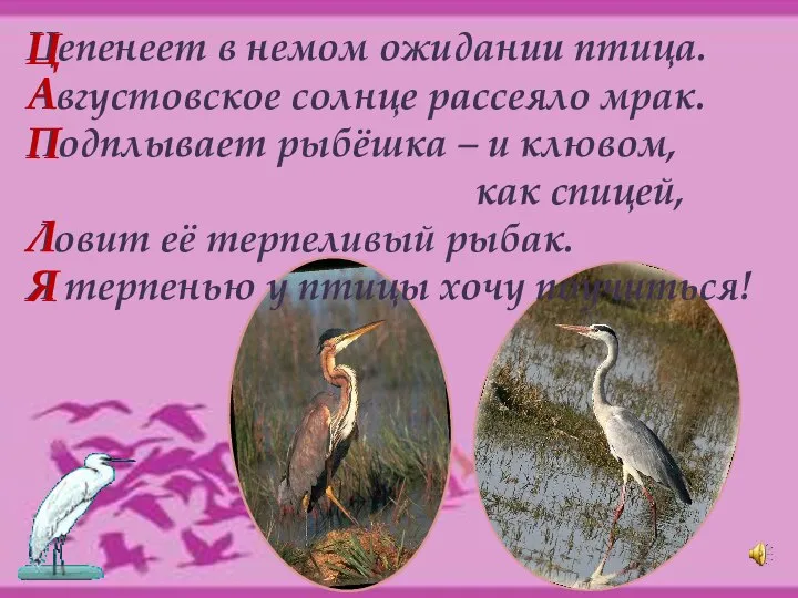 Цепенеет в немом ожидании птица. Августовское солнце рассеяло мрак. Подплывает рыбёшка