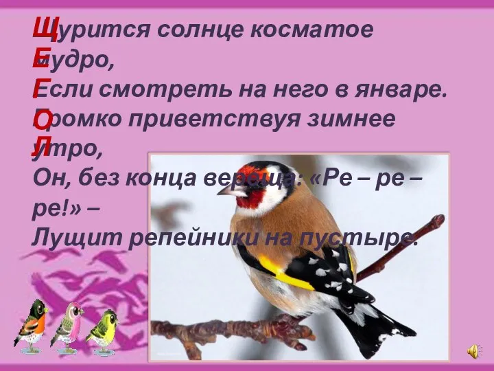 Щурится солнце косматое мудро, Если смотреть на него в январе. Громко