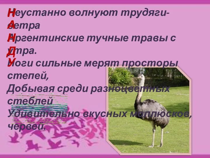 Неустанно волнуют трудяги-ветра Аргентинские тучные травы с утра. Ноги сильные мерят