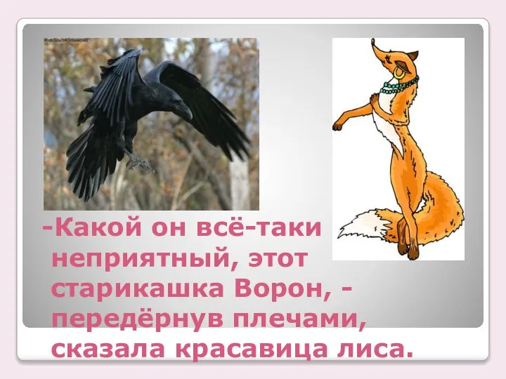 -Какой он всё-таки неприятный, этот старикашка Ворон, - передёрнув плечами, сказала красавица лиса.