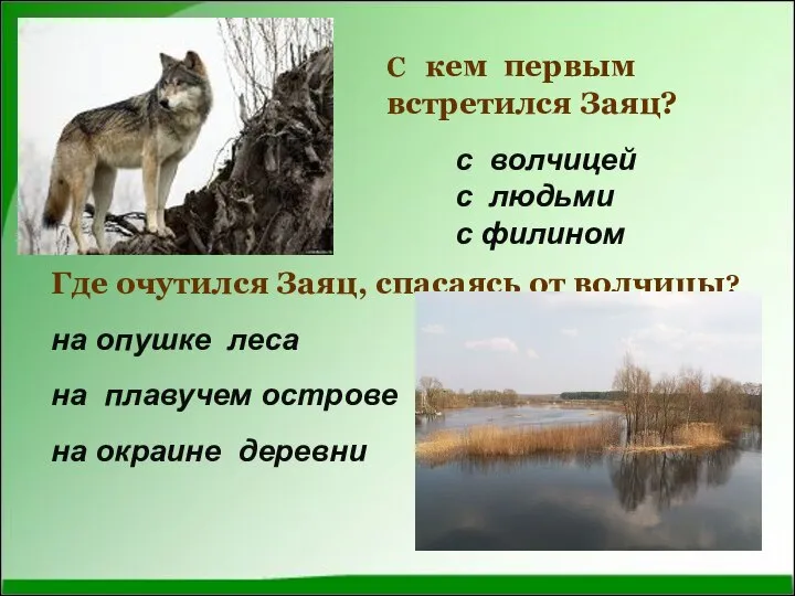 С кем первым встретился Заяц? Где очутился Заяц, спасаясь от волчицы?