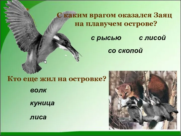 С каким врагом оказался Заяц на плавучем острове? Кто еще жил