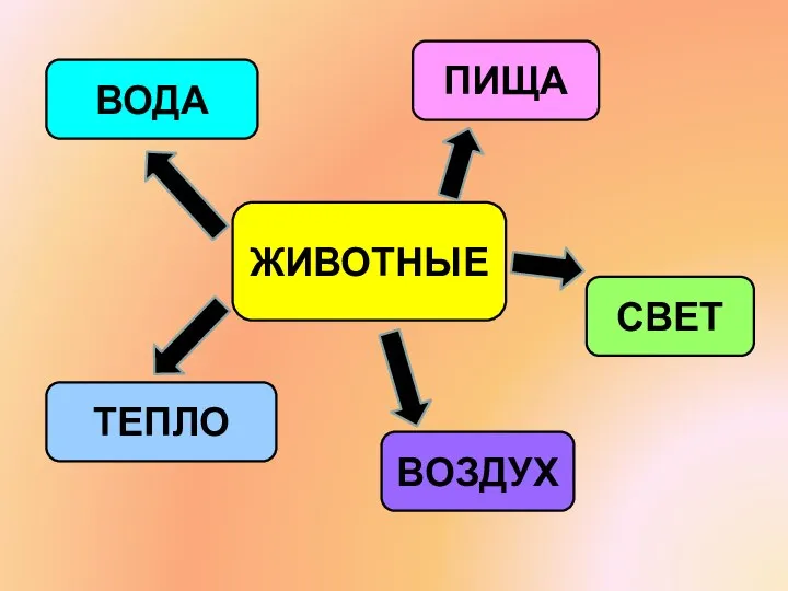 ЖИВОТНЫЕ ТЕПЛО ВОДА ПИЩА ВОЗДУХ СВЕТ