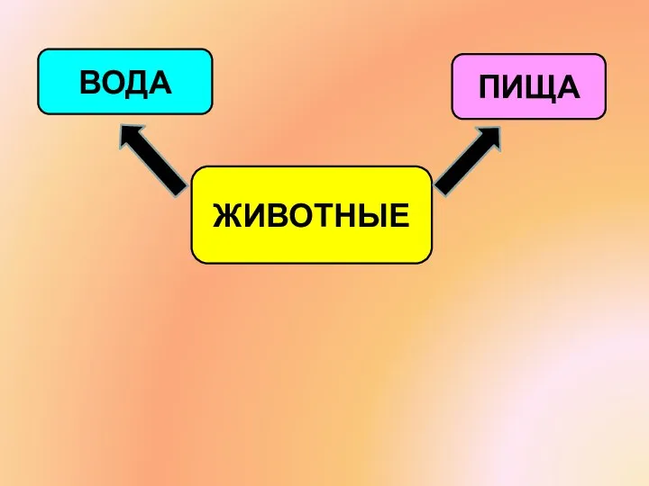 ЖИВОТНЫЕ ВОДА ПИЩА