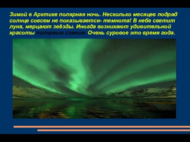 Зимой в Арктике полярная ночь. Несколько месяцев подряд солнце совсем не