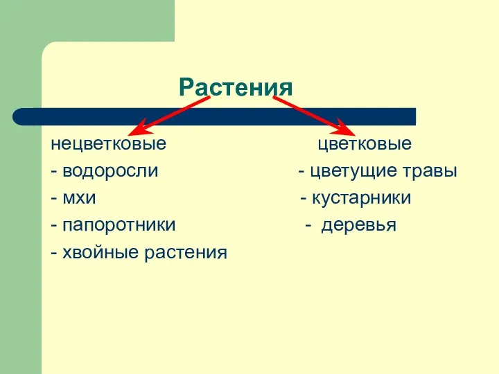 Растения нецветковые цветковые - водоросли - цветущие травы - мхи -