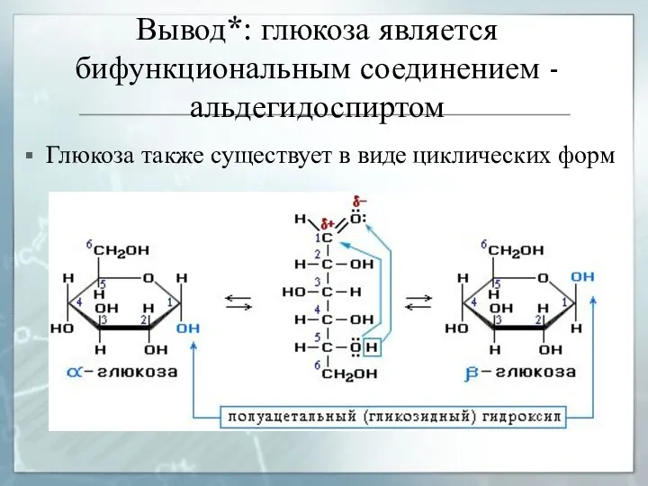 Вывод*: глюкоза является бифункциональным соединением - альдегидоспиртом Глюкоза также существует в виде циклических форм