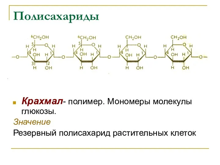 Крахмал- полимер. Мономеры молекулы глюкозы. Значение Резервный полисахарид растительных клеток Полисахариды