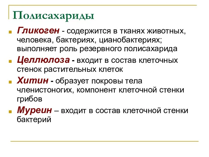 Полисахариды Гликоген - содержится в тканях животных, человека, бактериях, цианобактериях; выполняет