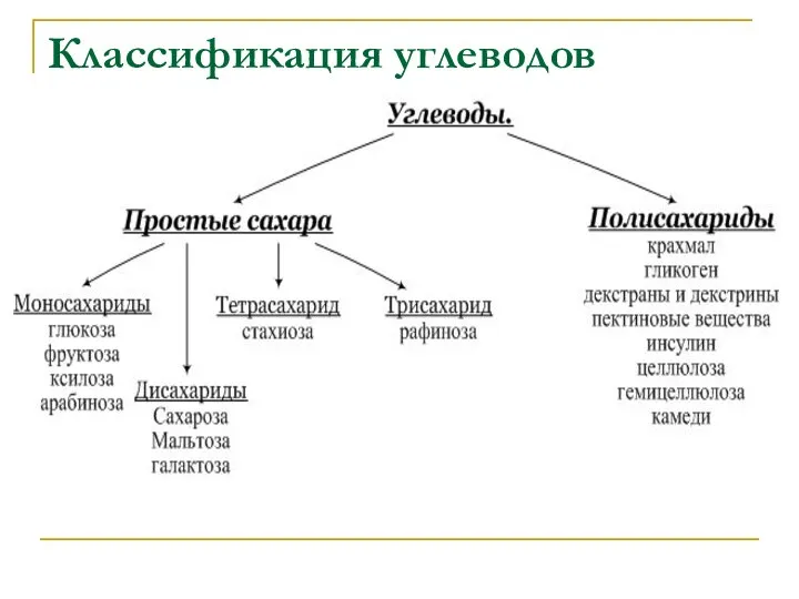 Классификация углеводов