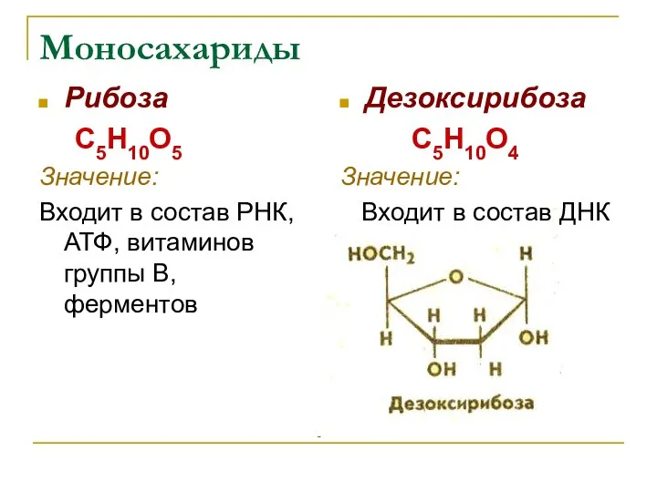 Моносахариды Рибоза С5Н10О5 Значение: Входит в состав РНК, АТФ, витаминов группы