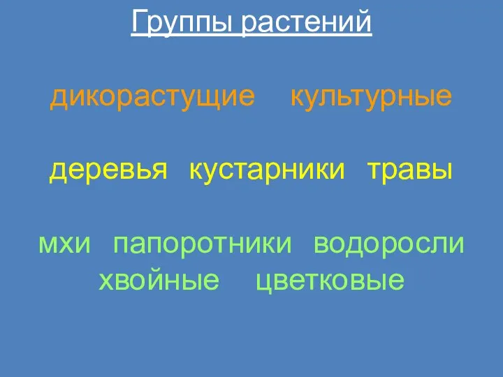 Группы растений дикорастущие культурные деревья кустарники травы мхи папоротники водоросли хвойные цветковые