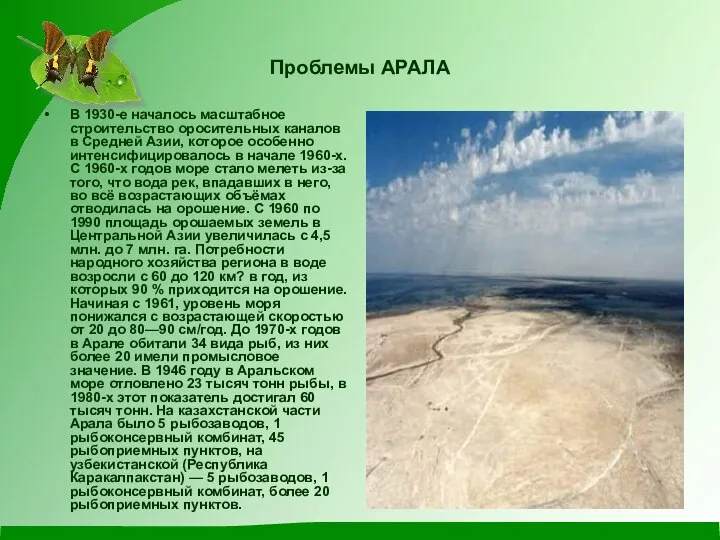 Проблемы АРАЛА В 1930-е началось масштабное строительство оросительных каналов в Средней
