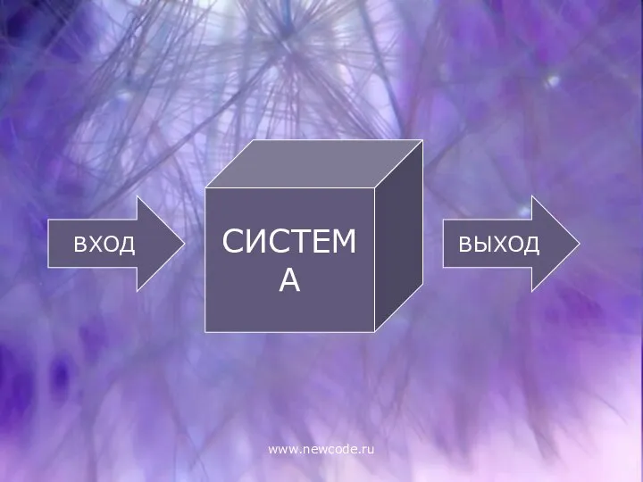 www.newcode.ru СИСТЕМА ВХОД ВЫХОД