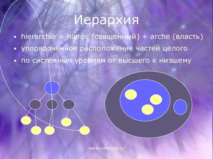 www.newcode.ru Иерархия hierarchia = hieros (священный) + arche (власть) упорядоченное расположение