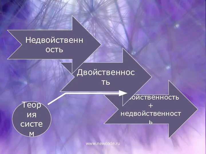 www.newcode.ru Двойственность + недвойственность Двойственность Недвойственность Теория систем