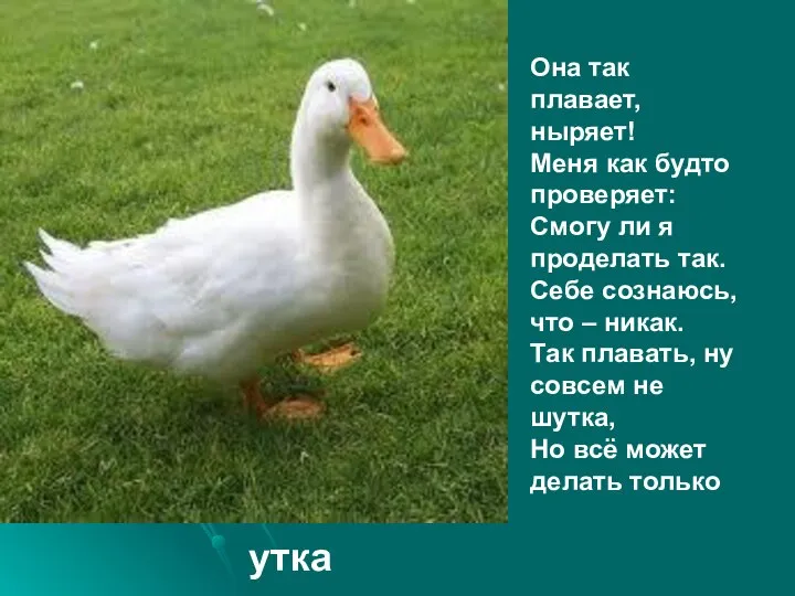 Она так плавает, ныряет! Меня как будто проверяет: Смогу ли я