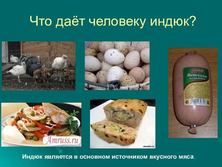 Что даёт человеку индюк? Индюк является в основном источником вкусного мяса.