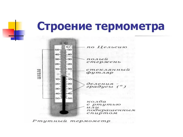 Строение термометра