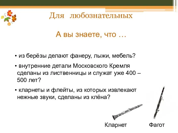 Для любознательных А вы знаете, что … из берёзы делают фанеру,