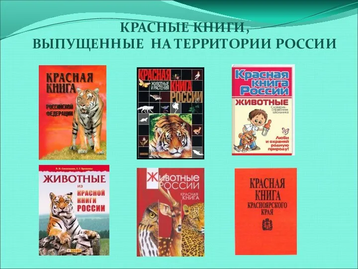 КРАСНЫЕ КНИГИ, ВЫПУЩЕННЫЕ НА ТЕРРИТОРИИ РОССИИ