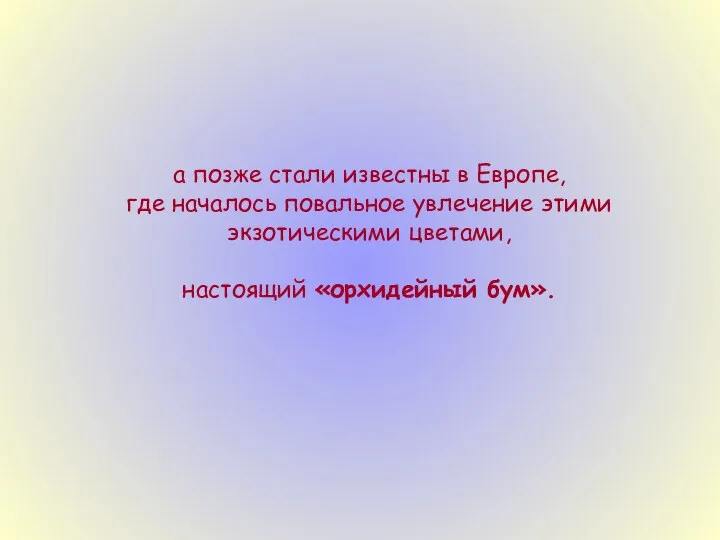 а позже стали известны в Европе, где началось повальное увлечение этими экзотическими цветами, настоящий «орхидейный бум».