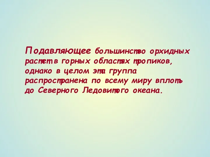 Подавляющее большинство орхидных растет в горных областях тропиков, однако в целом