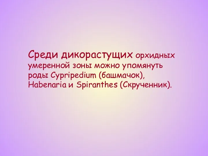 Среди дикорастущих орхидных умеренной зоны можно упомянуть роды Cypripedium (башмачок), Habenaria и Spiranthes (Скрученник).