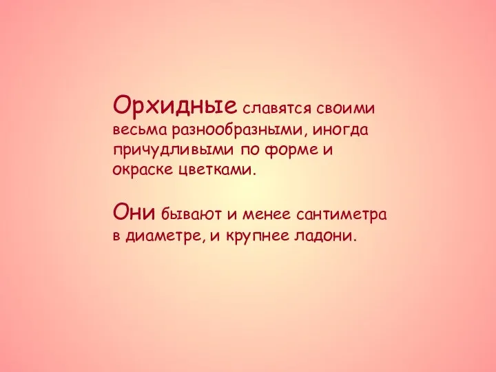 Орхидные славятся своими весьма разнообразными, иногда причудливыми по форме и окраске