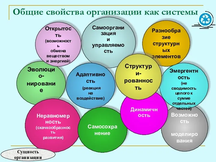 Общие свойства организации как системы Самоорганизация и управляемость Возможность моделирования Адаптивность