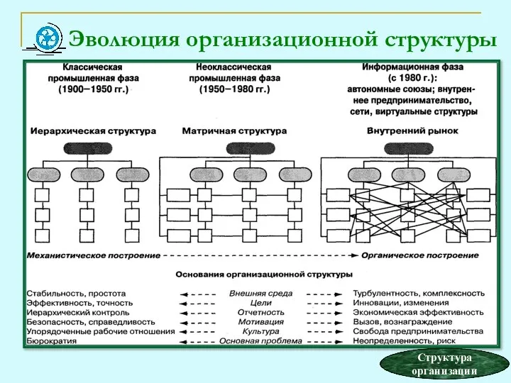 Эволюция организационной структуры Структура организации