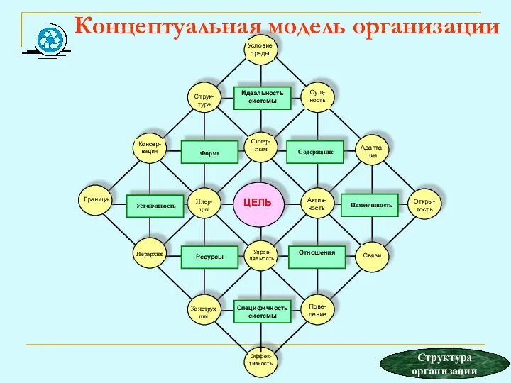 Концептуальная модель организации Структура организации