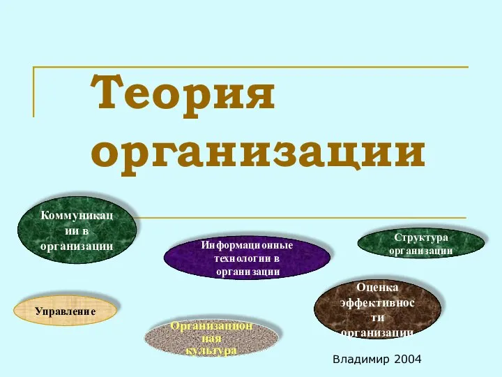 Теория организации Владимир 2004 Оценка эффективности организации Коммуникации в организации Структура