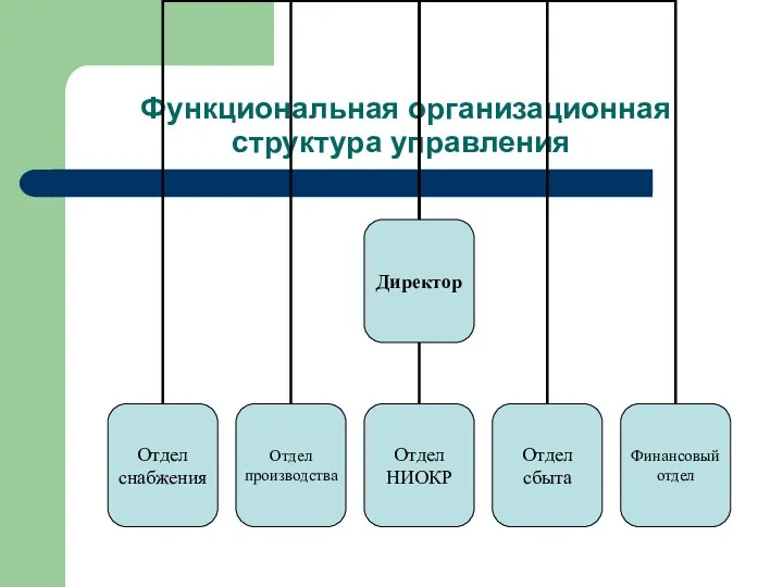 Функциональная организационная структура управления