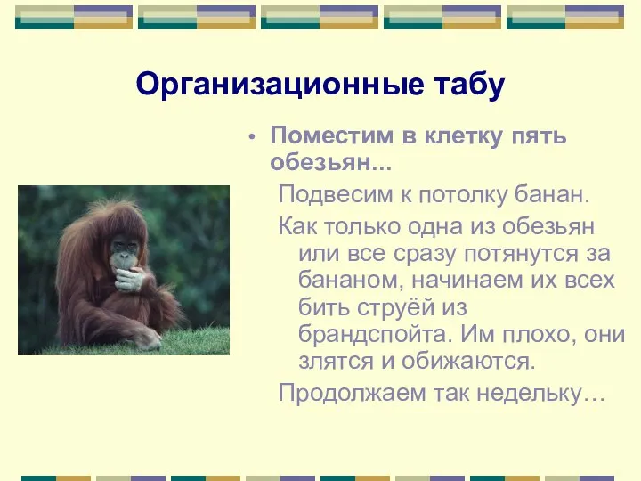 Организационные табу Поместим в клетку пять обезьян... Подвесим к потолку банан.