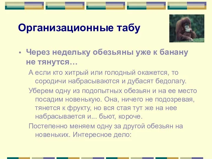 Организационные табу Через недельку обезьяны уже к банану не тянутся… А