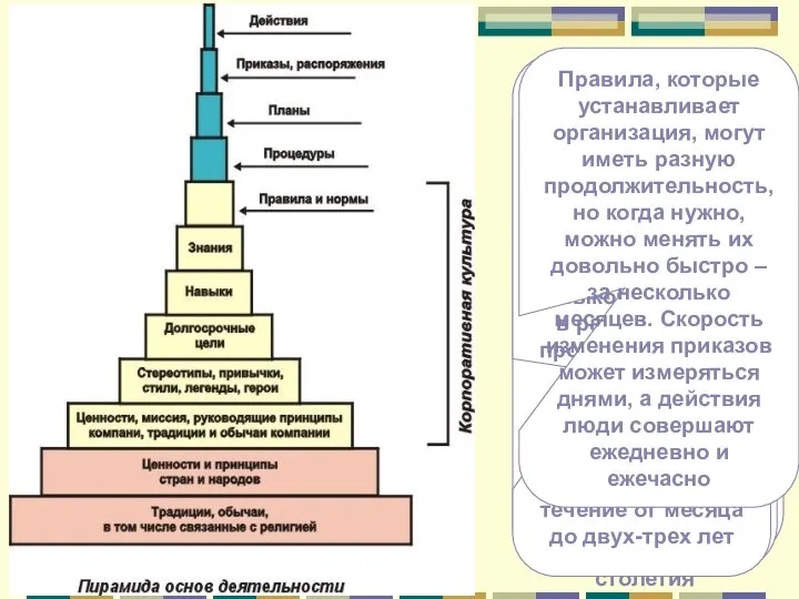 Ширина каждого слоя пирамиды пропорциональна продолжительности жизни соответствующего слоя Основание пирамиды